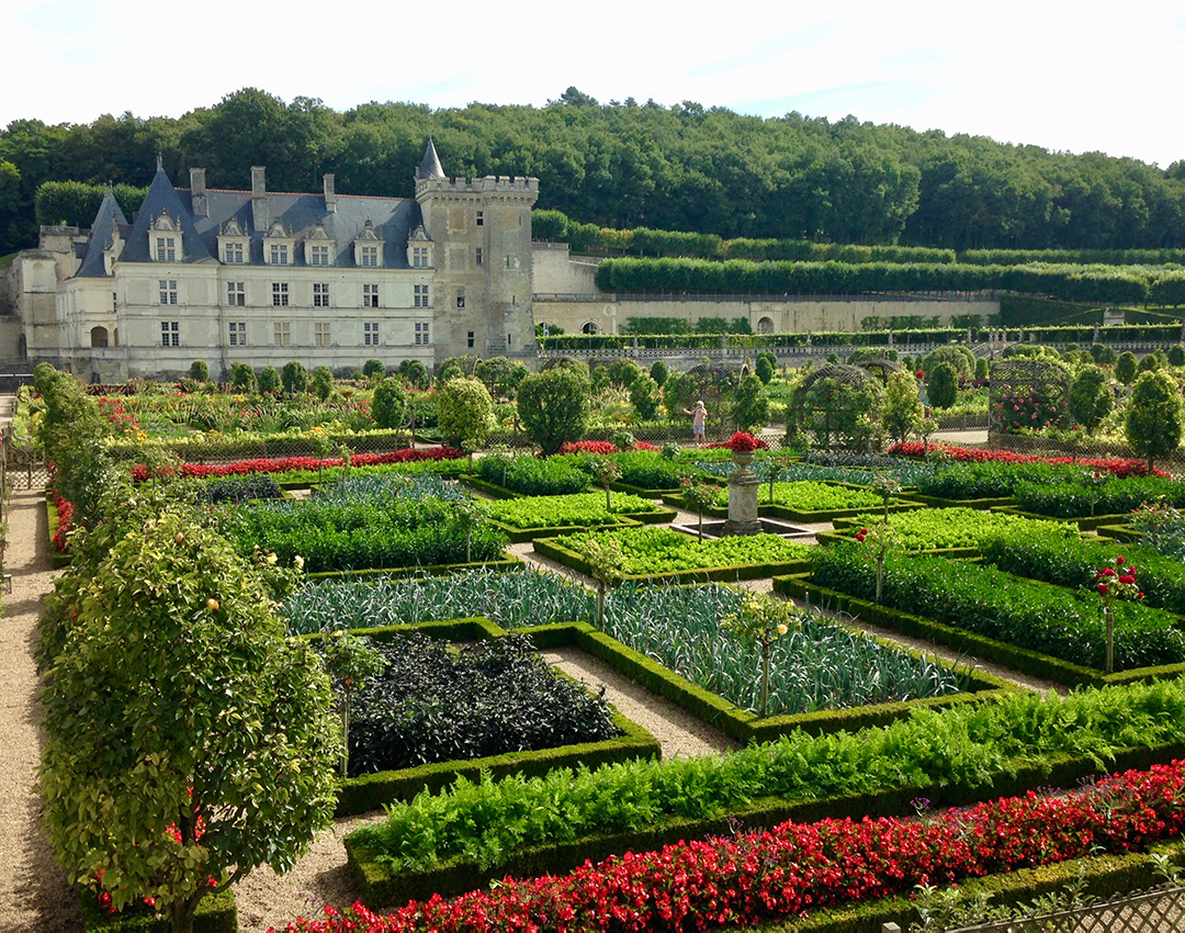 vegetable garden
