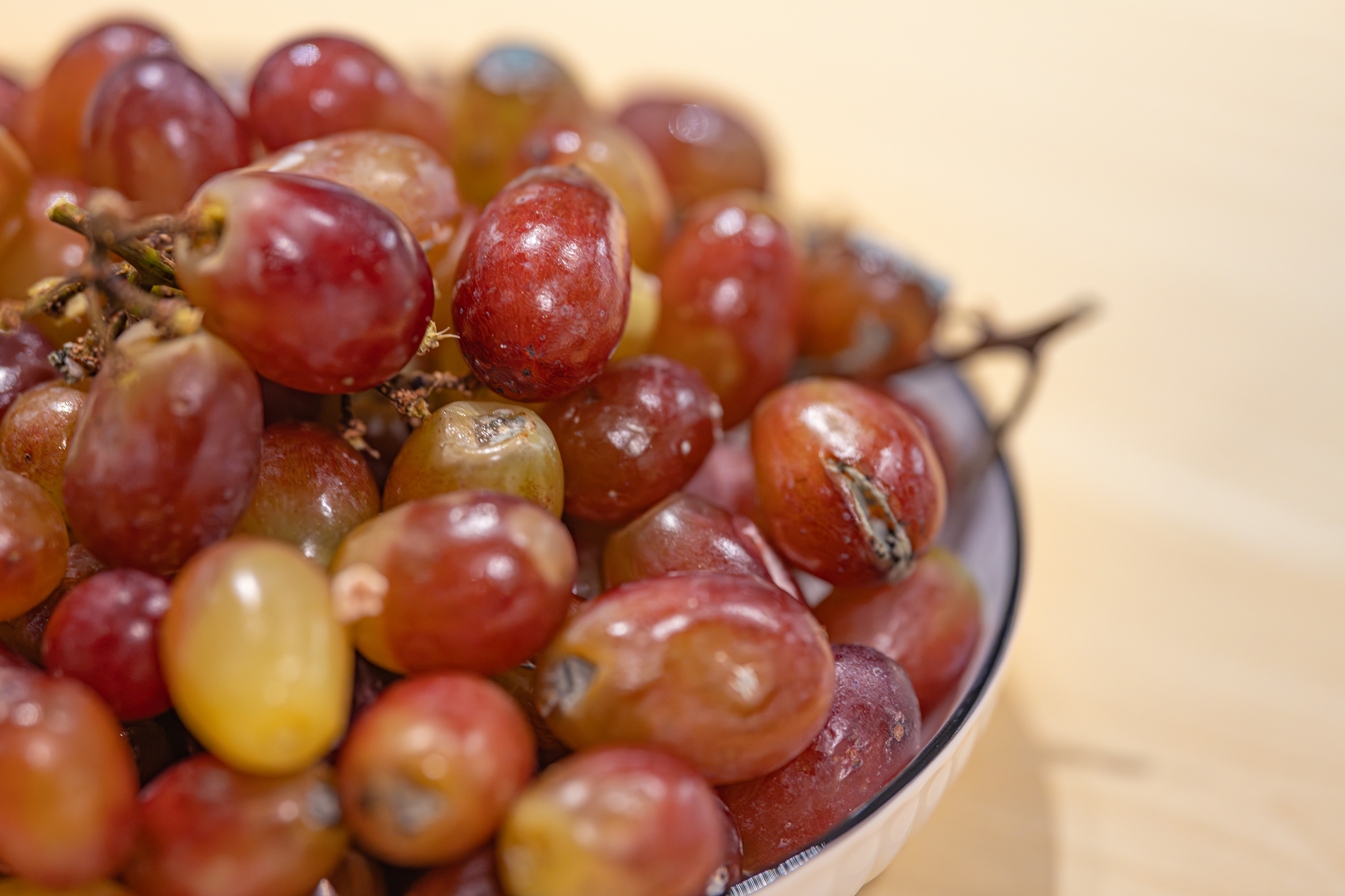 Moldy Grapes